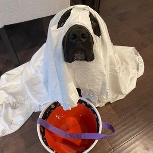 Zipper’s Unlisted Inventory 🤩